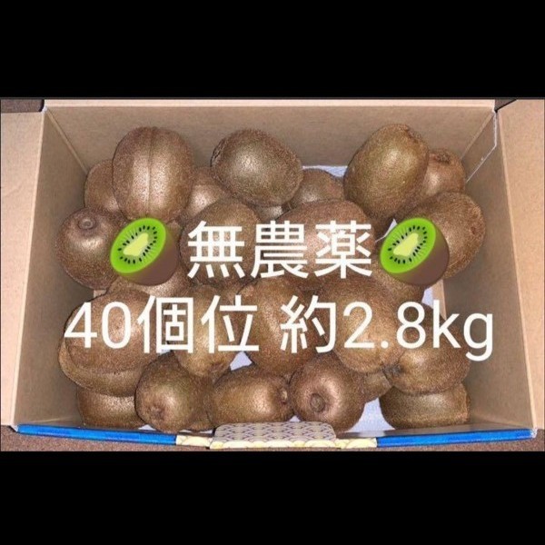PayPayフリマ｜⑤無農薬・要追熟グリーンキウイ キウイフルーツ 40個位 約2 8kg
