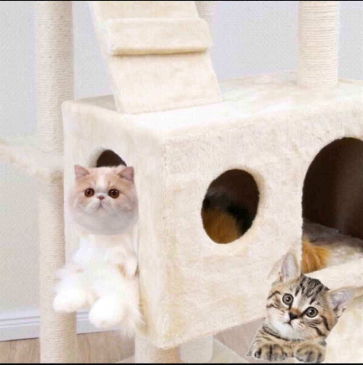 キャットタワー ベージュ 猫 Cat Tower ワイドサイズ 高さ170cm