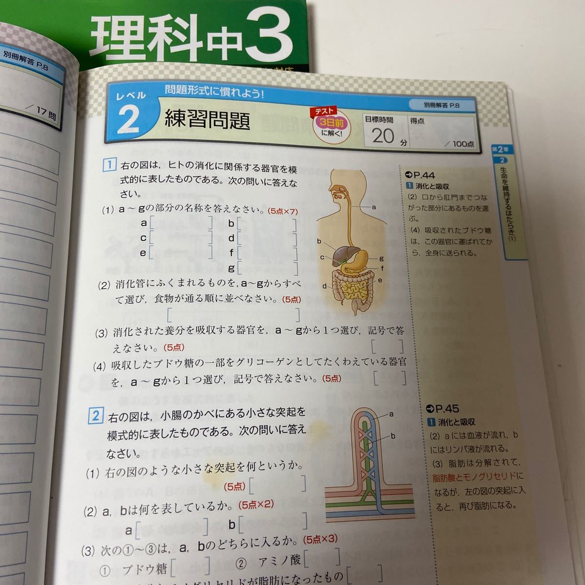 良質 新装版 中学定期テストの対策ワーク理科中2 人文 社会 Ecobydlo Cz 良質 新装版 中学定期テストの対策ワーク理科中2 人文 社会 Ecobydlo Cz