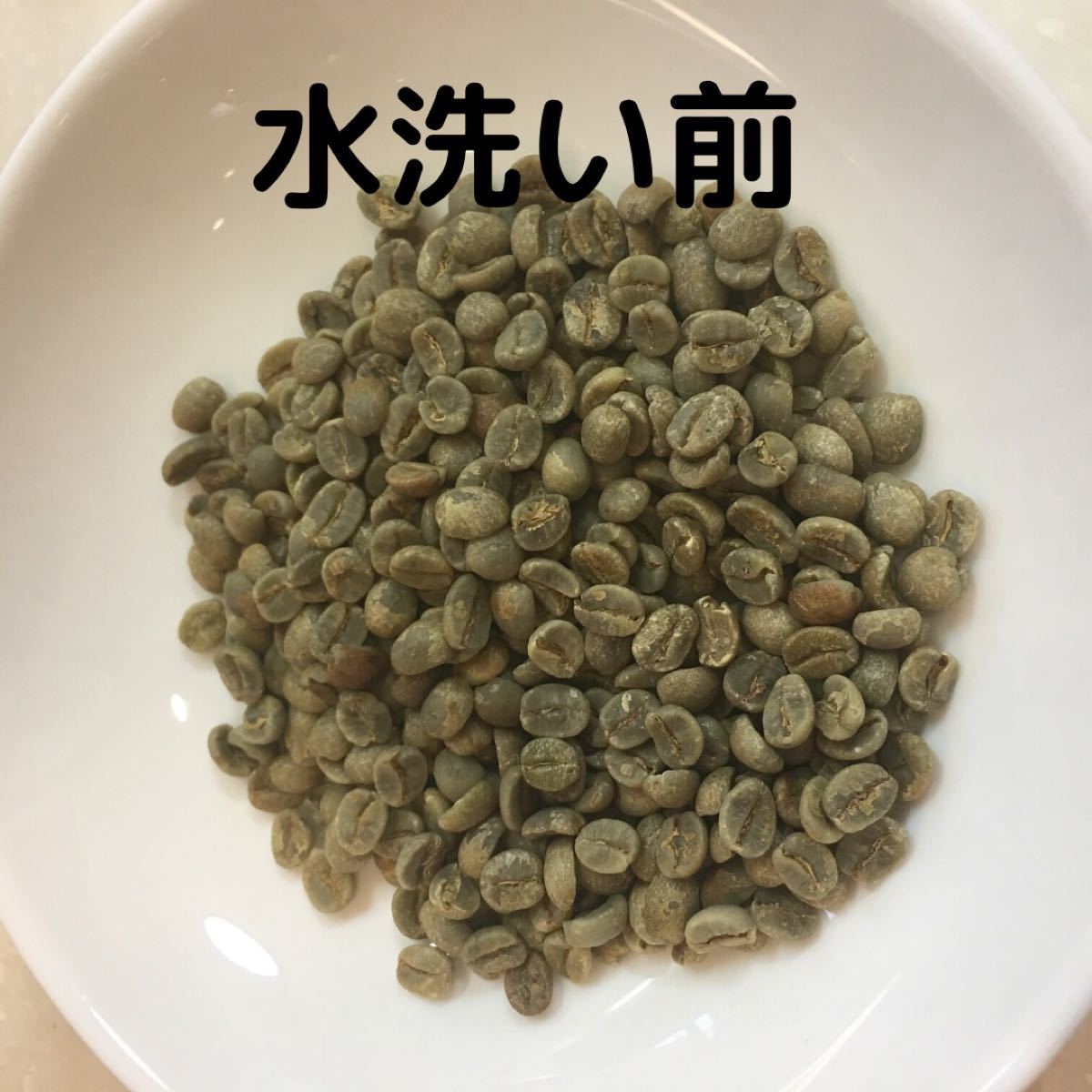 自家焙煎　ケニア　ピンクフラミンゴ　300g 豆又は粉