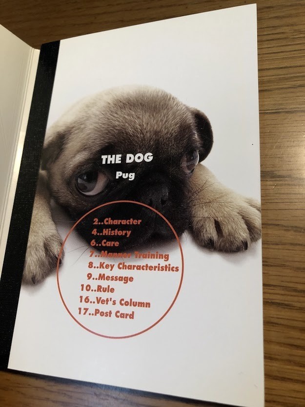 THE DOG Puga- list Inter National 