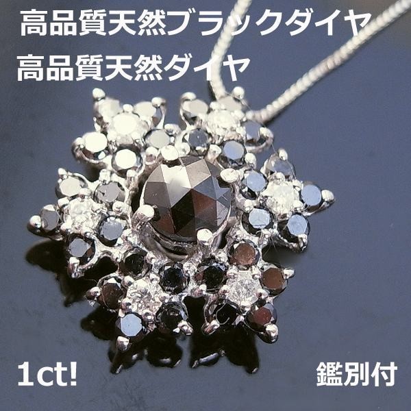 【送料無料】★注文★鑑別付きブラックダイヤ1.0ｃｔPH93 ダイヤモンド