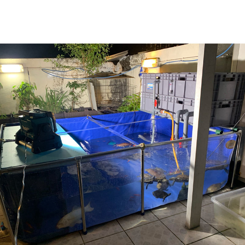 グランドセール前面クリア プール 3600l 幅0 奥行300 高さ61cm No17 大型 水槽 タンク 鯉 大型魚 屋外 透明 pvc ビニール 池 水槽 ペット用品 住まい インテリア 65 760 Www Firefreeze Com グランドセール前面クリア プール 3600l 幅0 奥行300 高さ61cm No17 大型 水槽 タンク 鯉 大型魚 屋外 透明 pvc ビニール 池 水槽 ペット用品 住まい インテリア 65 760 Www Firefreeze Com
