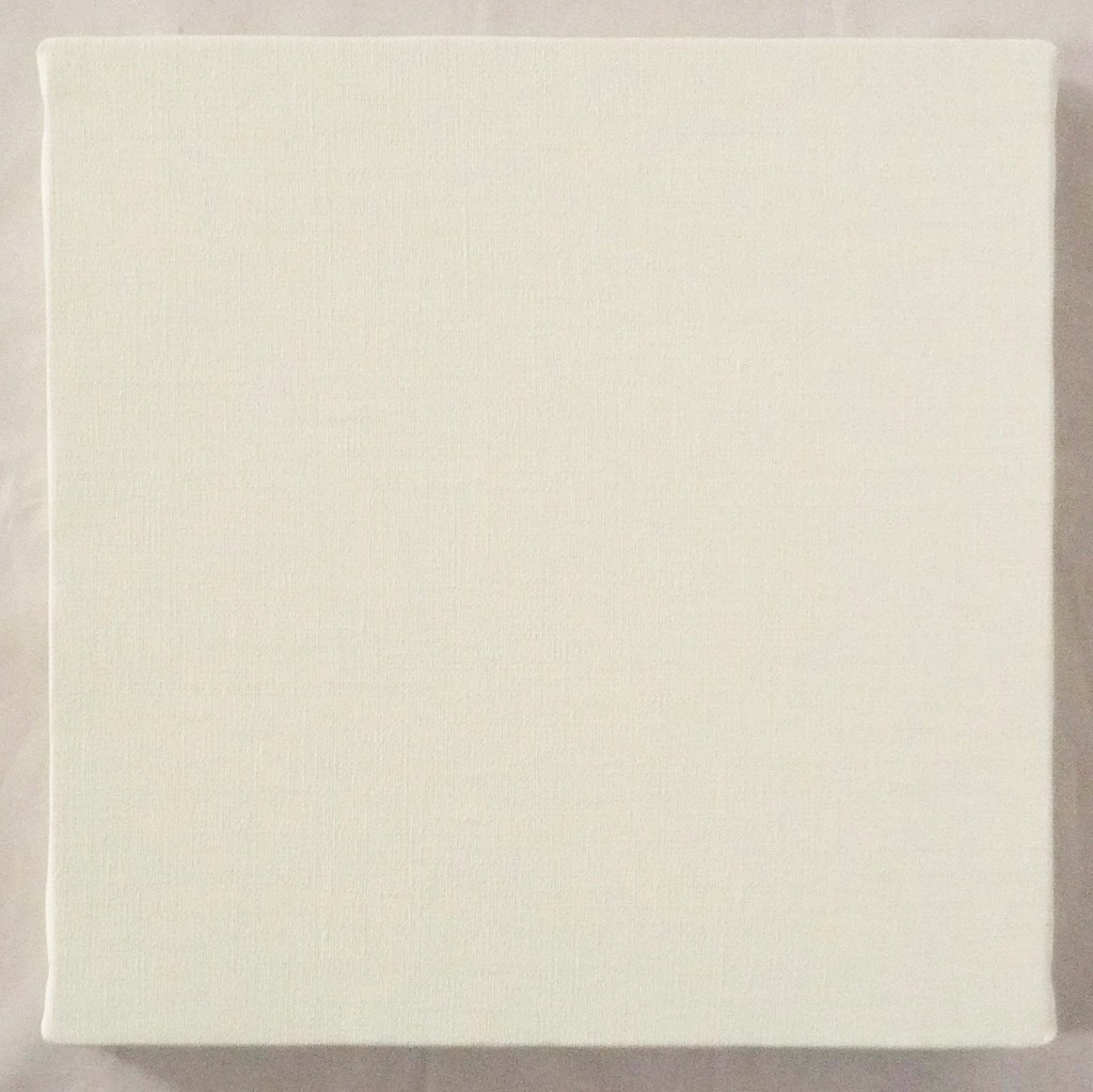 画材 油絵 アクリル画用 張りキャンバス 純麻 中目荒目 AX S3号サイズ 30枚セット