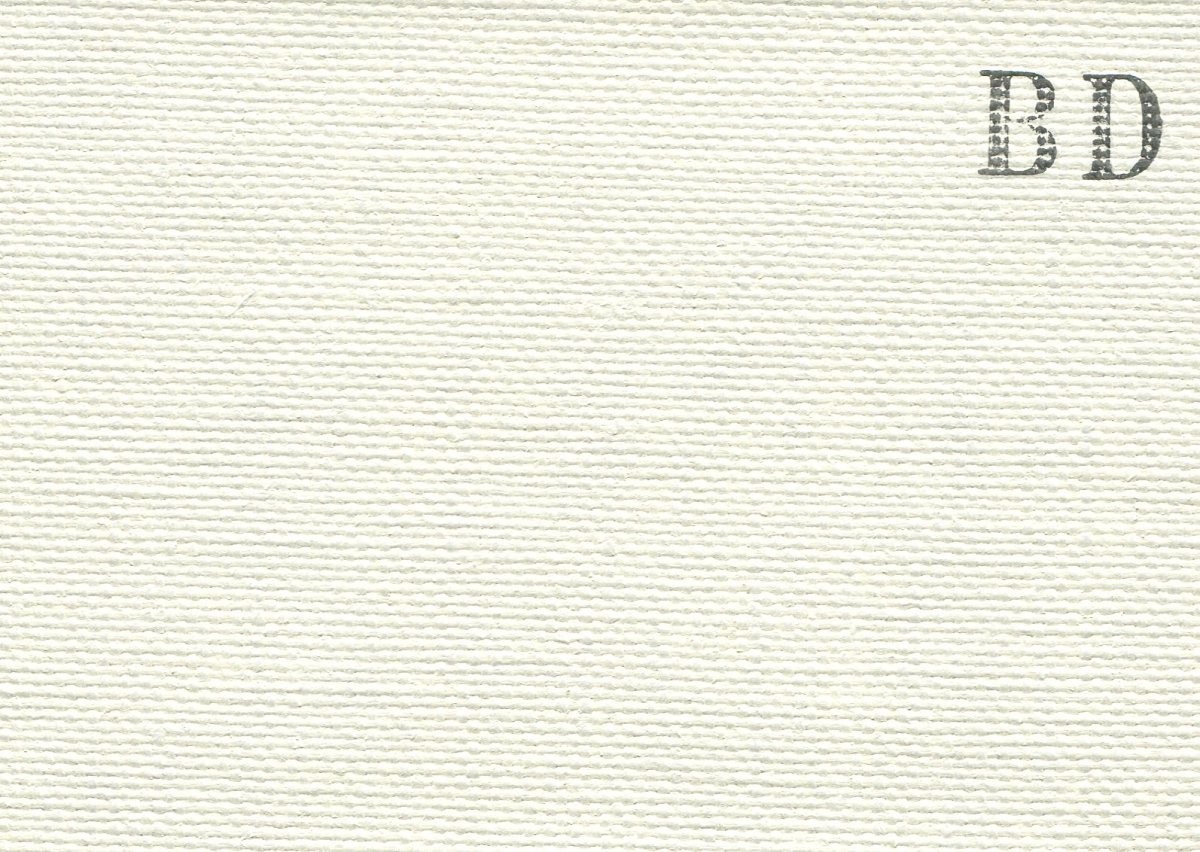 画材 油絵 アクリル画用 張りキャンバス 純麻 荒目双糸 BD S3号サイズ 10枚セット