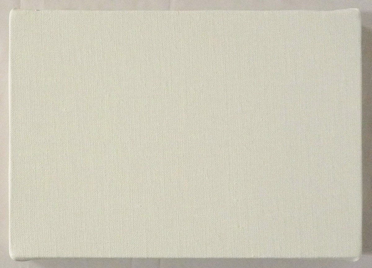 SALE】 画材 油絵 アクリル画用 張りキャンバス 純麻 中目 AD F,M,P 12 ...