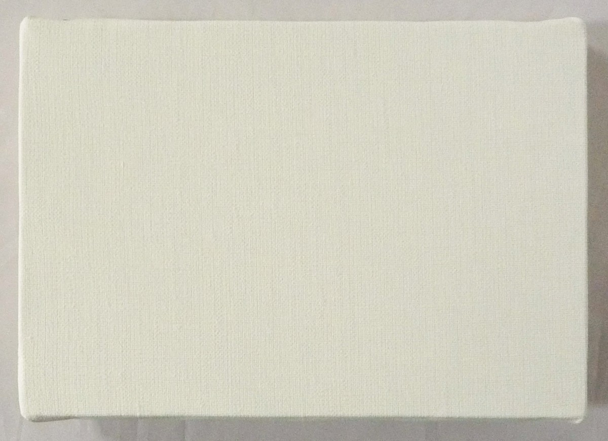 画材 油絵 アクリル画用 張りキャンバス 純麻 中目荒目 AX SMサイズ 30枚セット_画像3
