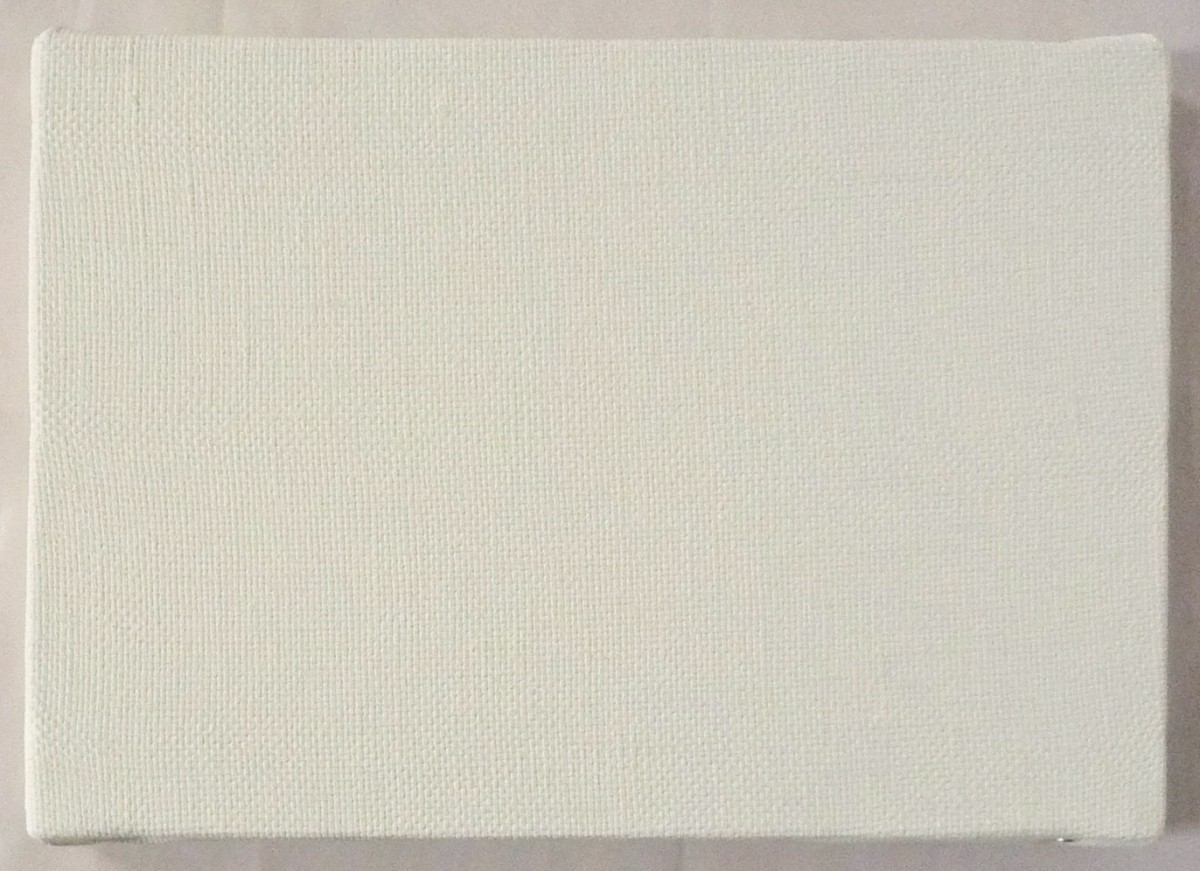 45%割引【期間限定】 画材 油絵 アクリル画用 張りキャンバス 純麻 荒目双糸 BD (F,M,P)6号サイズ 30枚セット 画材 アート用品 ホビー、カルチャー-MADSTOLLING.COM 45%割引【期間限定】 画材 油絵 アクリル画用 張りキャンバス 純麻 荒目双糸 BD (F,M,P)6号サイズ 30枚セット 画材 アート用品 ホビー、カルチャー-MADSTOLLING.COM