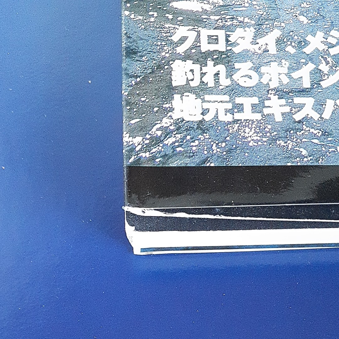 房総半島パーフェクト地磯ガイド―ぐるっと一周、完全網羅! 入釣経路も詳細解説!! 「磯投げ情報」 編集部