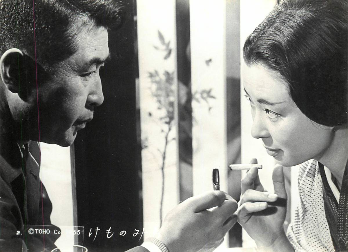 【年中無休】 松本清張 p41431『けものみち』スチル 池内淳子 森塚敏 小林桂樹 その他