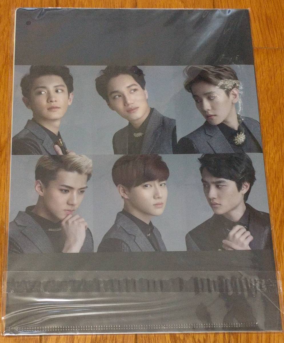 EXOeko clear file Lotte exemption tax shop 2015 year version A4 not for sale 2 pieces set ×2 point postage 210 jpy 