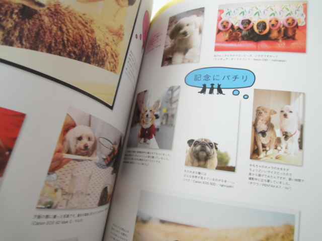 カメラ日和　犬づくし　かわいい犬写真てんこ盛り◇送料無料　_画像2