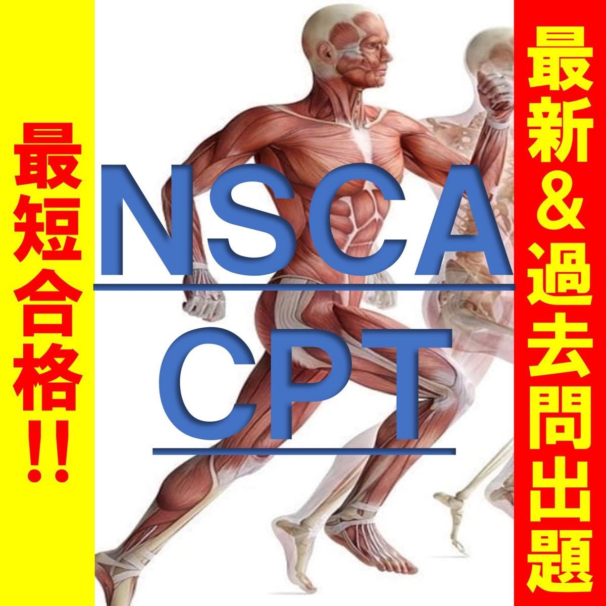 期間限定特別お試し価格 最新 過去問 NSCA-CPT 対策|Yahoo 期間限定特別お試し価格 最新 過去問 NSCA-CPT 対策|Yahoo