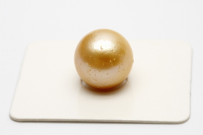 南洋白蝶真珠パールルース　両穴　13mm　ナチュラルゴールドカラー