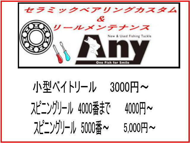 ダイワ　TDジリオン　7.3リミテッド 100Lスプール用 HXR(11-5-4&8-3-4)セラミックボールベアリング2個セット_画像4