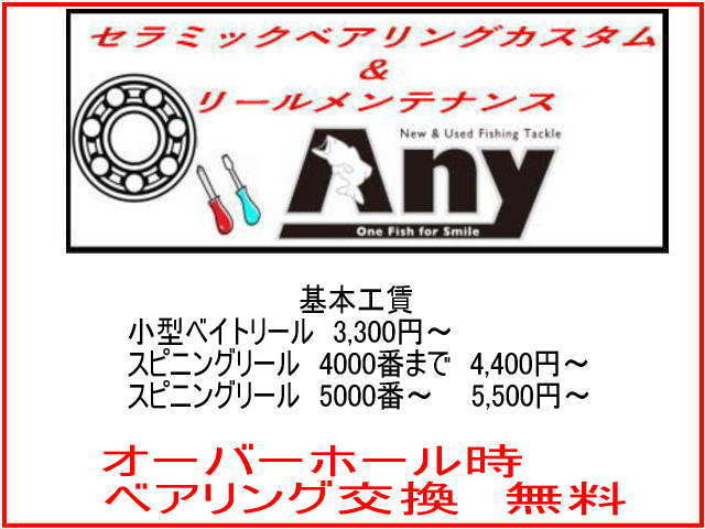 ダイワ　19タトゥーラ TW 100SHスプール用 HXR(10-3-4&8-3-4)セラミックボールベアリング2個セット_画像4