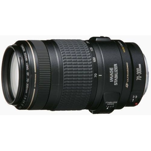 １年保証 美品 Canon EF 70-300mm F4-5.6 IS USM-