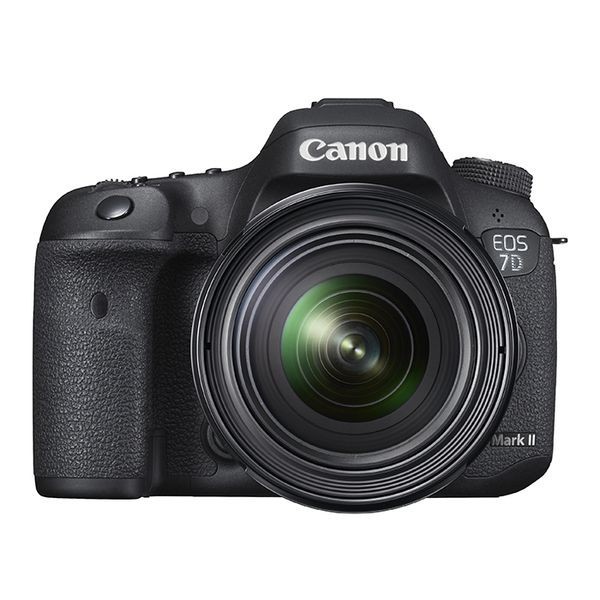 中古 １年保証 美品 Canon EOS 7D Mark II EF 24-70mm F4L IS USM