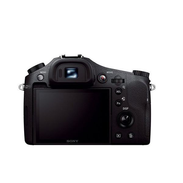1年保証 美品 SONY Cyber-shot DSC-RX10 | normanhubbard.com