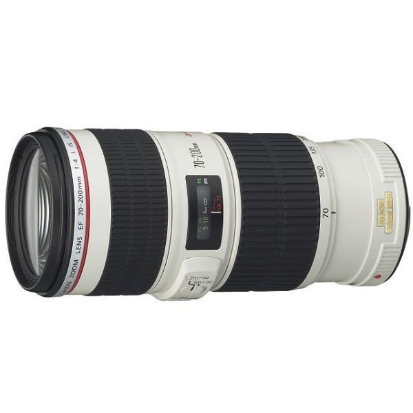 中古 １年保証 美品 Canon EF 70-200mm F4L IS USM