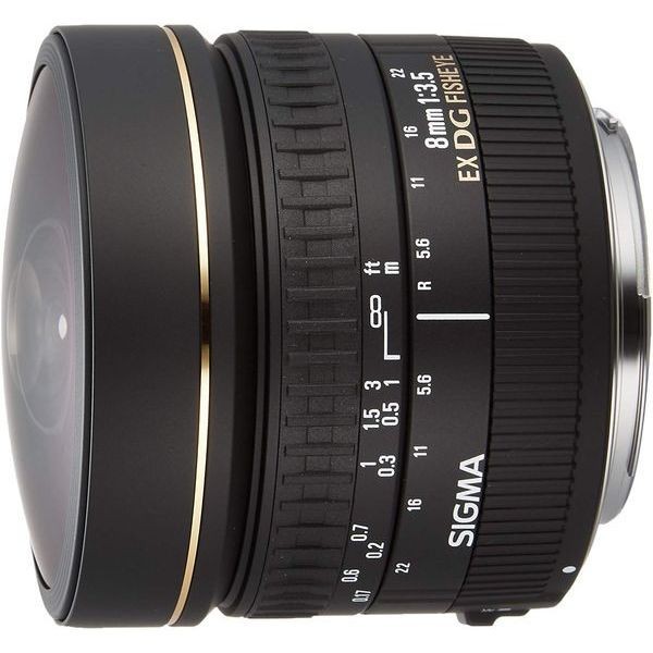 中古 １年保証 美品 SIGMA 8mm F3.5 EX DG CIRCULAR キヤノン