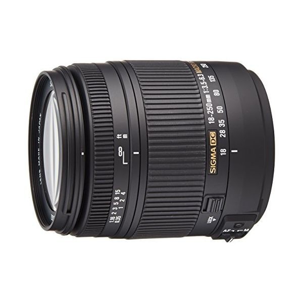 中古 １年保証 美品 SIGMA 18-250mm F3.5-6.3 DC OS HSM MACRO キヤノン