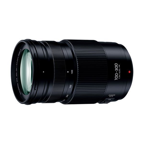 1年保証 美品 Panasonic LUMIX G VARIO 100-300mm F4-5.6 II POWER