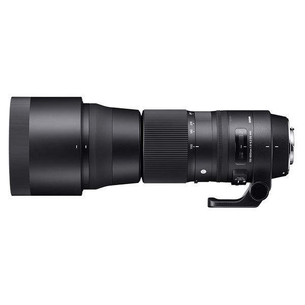 中古 １年保証 美品 SIGMA Contemporary 150-600mm F5-6.3 DG OS HSM 1.4x テレコンバーターキット ニコン_画像3