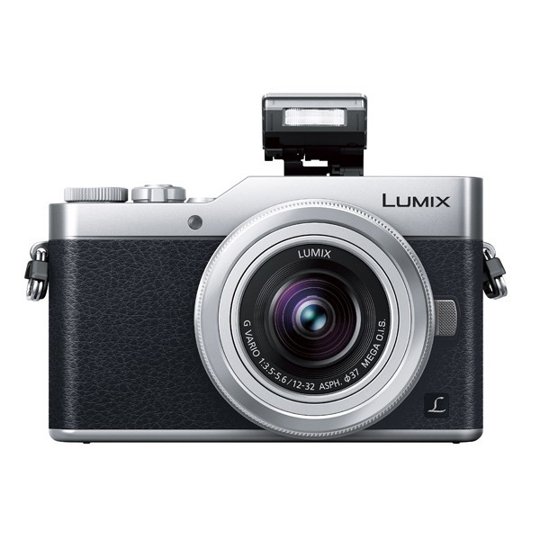 中古 １年保証 美品 Panasonic LUMIX DC-GF9W ダブルレンズキット シルバー_画像5