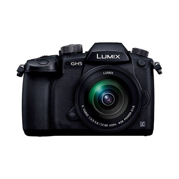 正規通販 １年保証 中古 美品 標準ズームレンズキット DC-GH5M LUMIX