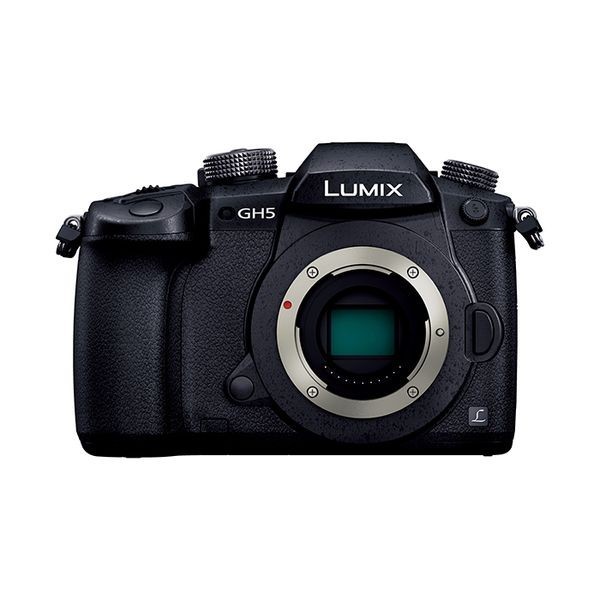 中古 １年保証 美品 Panasonic LUMIX DC-GH5 ボディ