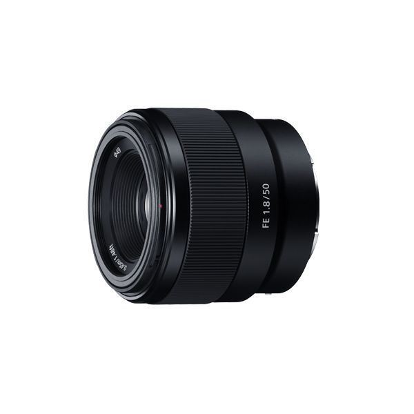 中古 １年保証 美品 SONY FE 50mm F1.8 SEL50F18F