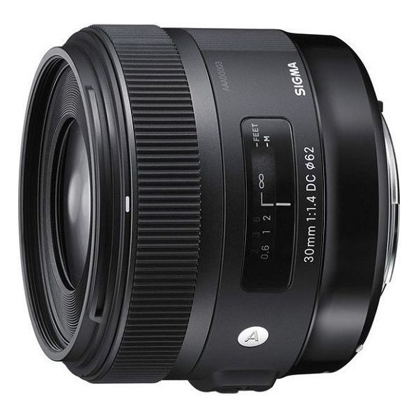 中古 １年保証 美品 SIGMA Art 30mm F1.4 DC HSM ソニーA