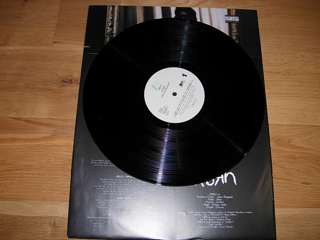 KORN LIFE IS PEACHY Analog Vinyl LP レコード www.lram-fgr.ma