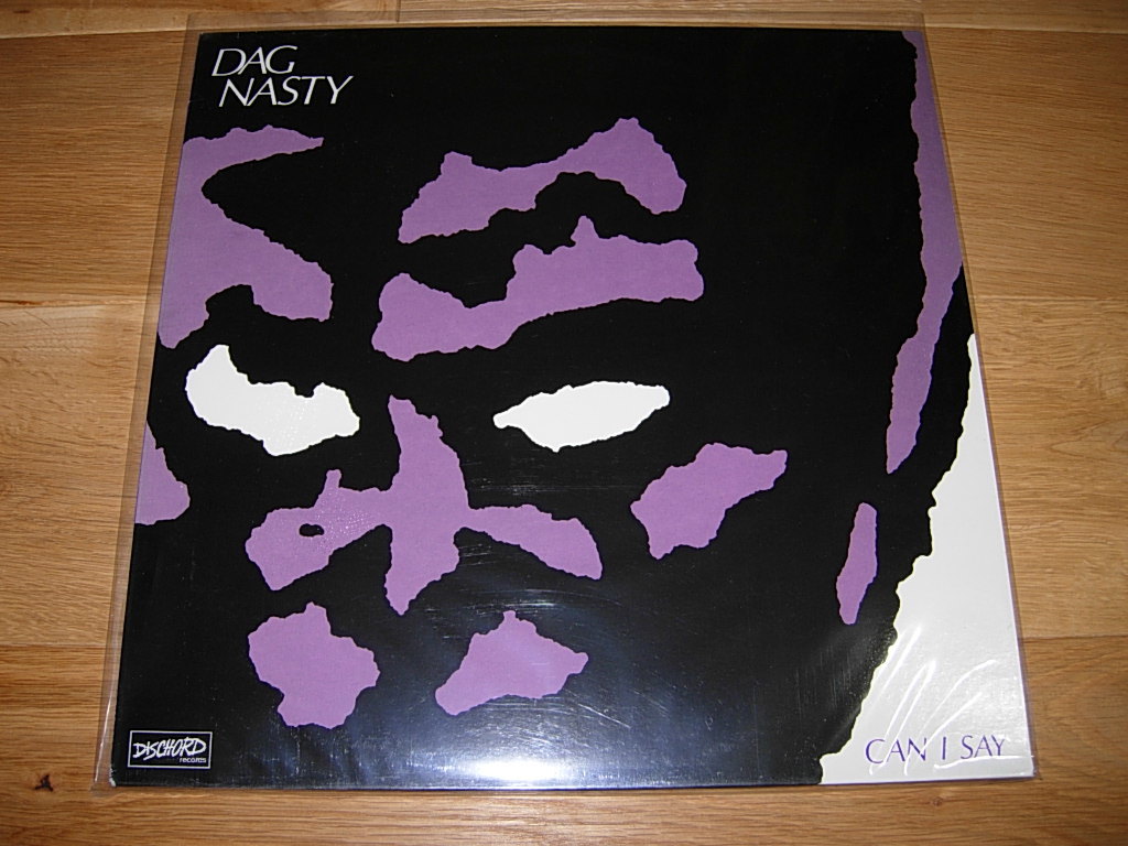 DAG NASTY CAN I SAY LP Vinyl Analog　レコード_画像1