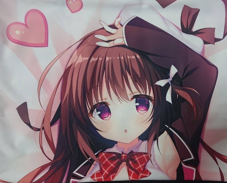 お花見日和 ひかりちゃん抱き枕カバー 白もち桜 1