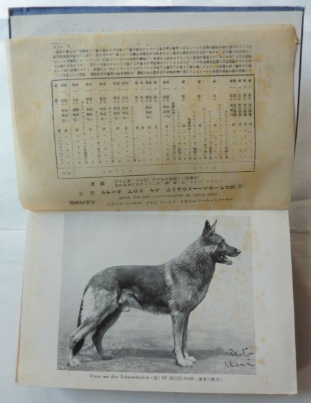 [ prompt decision ] dog. birth . breeding law Showa era 11 year 