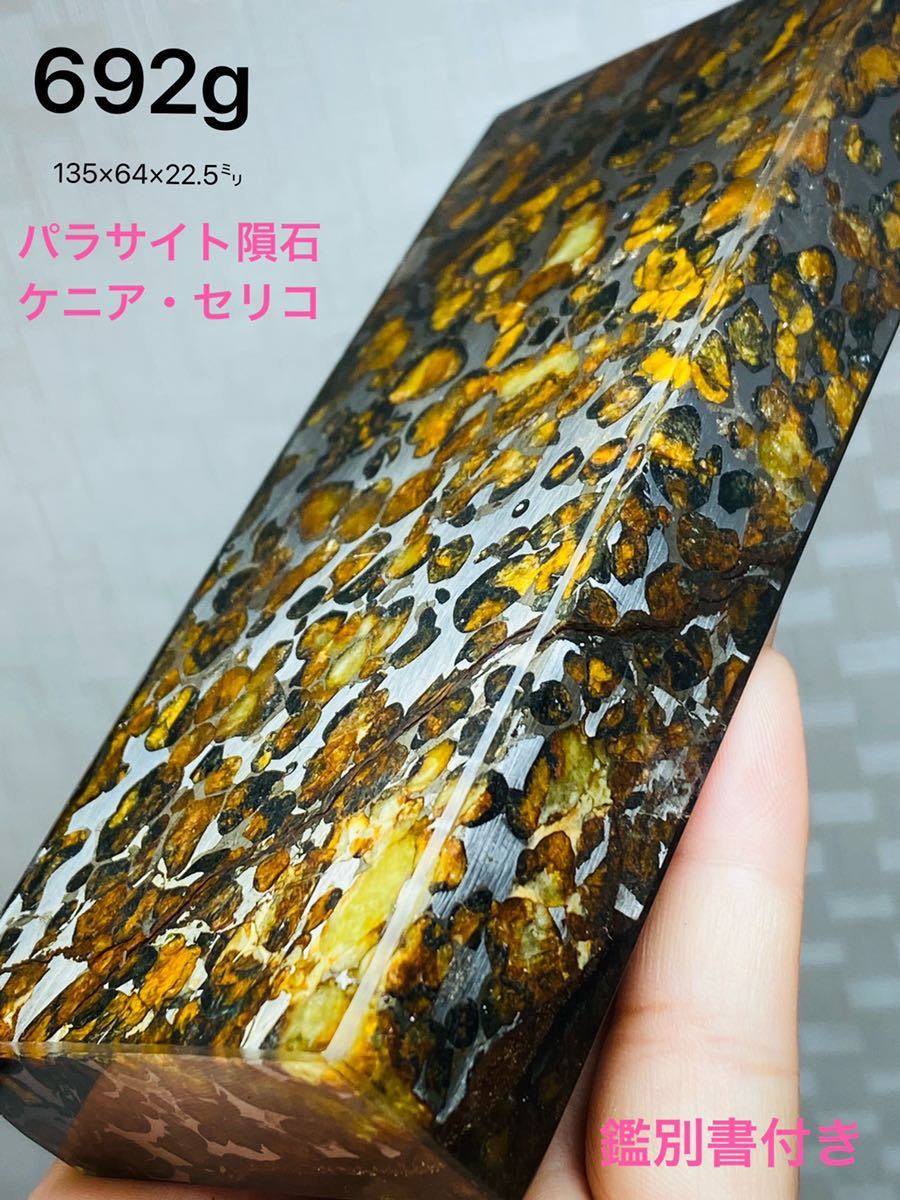 鑑別書付き パラサイト隕石 692g セリコ隕石 極上品質 隕石 鑑別書付き パラサイト隕石 692g セリコ隕石 極上品質 隕石