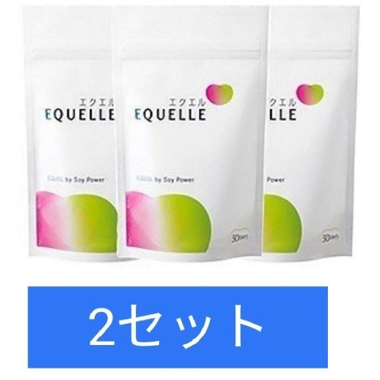 大塚製薬 エクエル パウチ 120粒 30日分 ×6袋（¥21,000） sweatreno.com