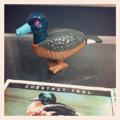 FIG-ken1894 ＹＯＷiＥ ヤウイ 1-36 Chestnut teal_画像1