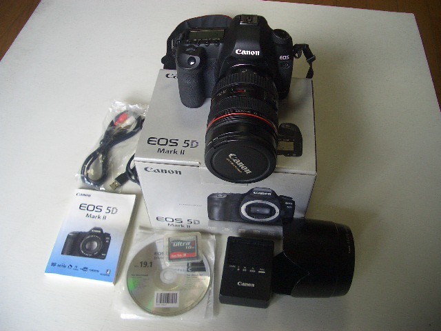 Canon キャノン EOS 5D Mark II ボディ EF28-70レンズセット www