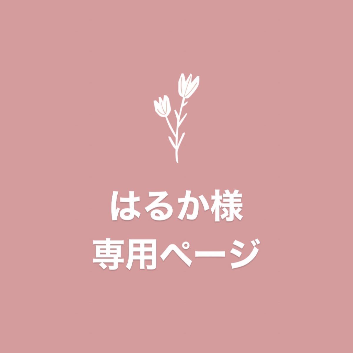 PayPayフリマ|はるか様 専用ページ 在庫品 はるか様専用ページ アイドル