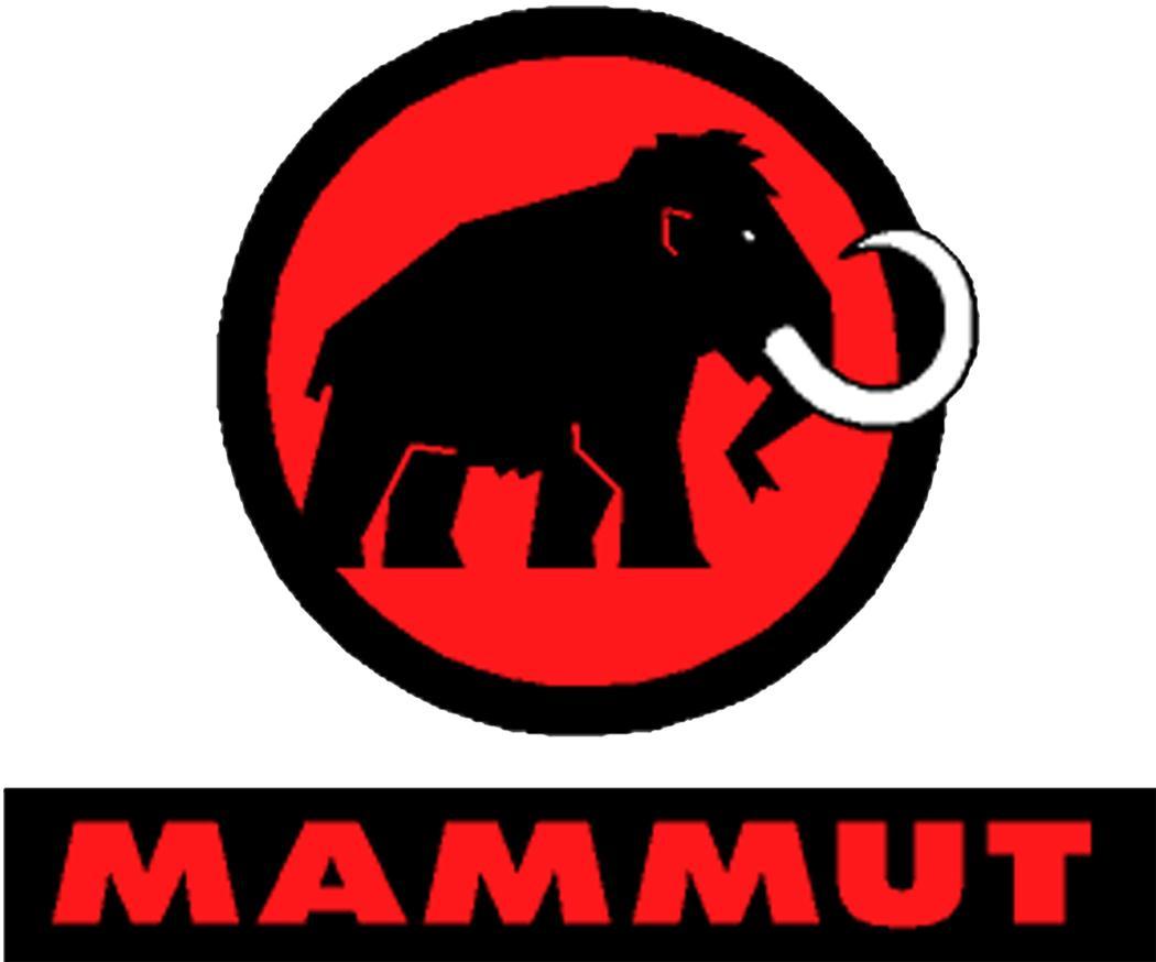 !1017-00980 super popular famous brand Mammut The il T-shirt Mammut Seile T-Shirt climbing boruda ring outdoor mountain climbing woman S orange 