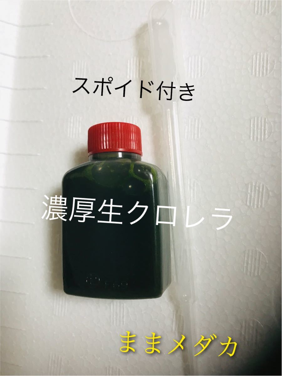 Paypayフリマ 原液 本物 スーパー生クロレラ 自信あり 飼育水で150リットル分 Paypayフリマ 原液 本物 スーパー生クロレラ 自信あり 飼育水で150リットル分