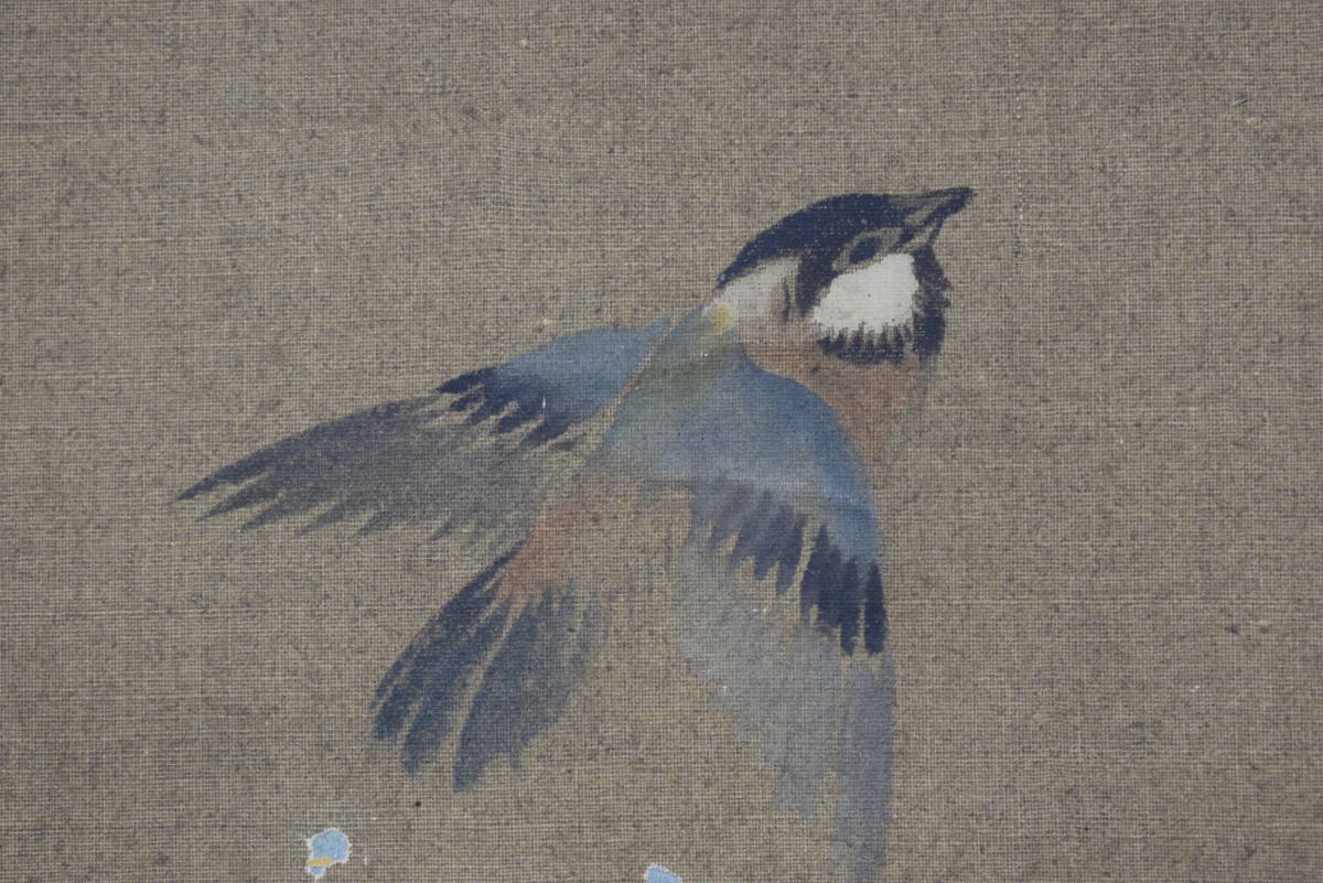 [ copy ]. writing ./ Sakura . small . map / small bird map / hanging scroll * Treasure Ship *Y-511 JM