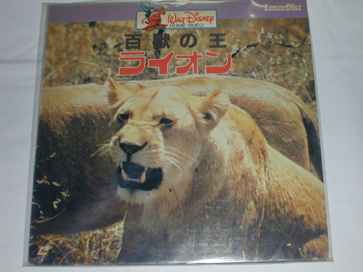 （ＬＤ：レーザーディスク）百獣の王 ライオン [二ヵ国語] 【中古】_画像1