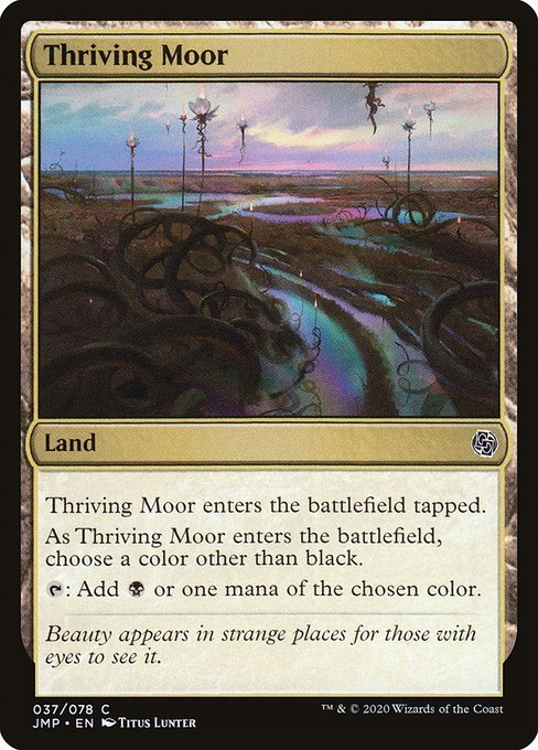 MTG ■土地/英語版■《興隆する湿地帯/Thriving Moor》ジャンプスタート JMP_画像1