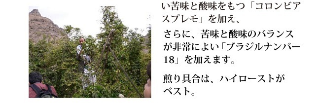 モカブレンド200g●濃厚なコク芳醇な甘味●送料300円（粉ＯＲ豆をメッセージでご指定してください）_画像3