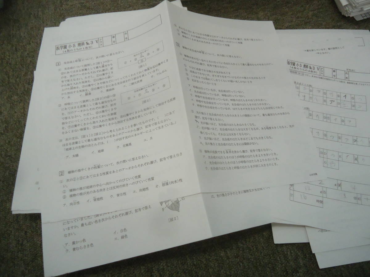 浜学園 小5/5年 理科 Vクラス 復習テスト(実力含む)NO 1~NO 浜学園 小5/5年 理科 Vクラス 復習テスト(実力含む)NO 1~NO