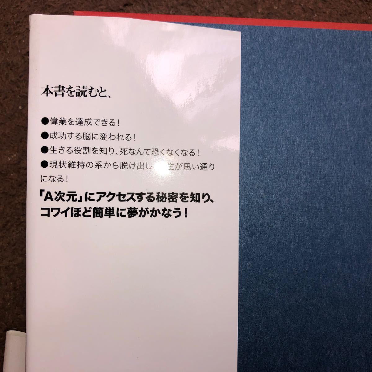 夢が勝手にかなう脳 講談社ＢＩＺ／苫米地英人 【著】